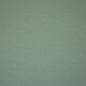 Preview: Swafing Vanessa Baumwoll Jersey Uni Altmint 262